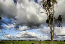 体育频道-中国新闻网.