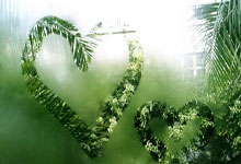 必赢官网：CBA：锁定前八 青岛男篮客场124-101福建男篮.