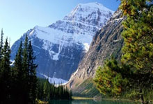 1-4惨负阿根廷3天后巴西换帅！解雇62岁本土教头 将聘请外籍名帅.