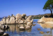 外媒评选的阿根廷国家队传奇阵容：.